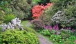 gardens-in-northumberland.jpg