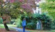 gardens-in-swansea.jpg