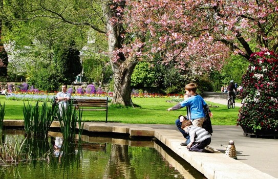 Old Town Gardens Swindon Old Town Gardens Swindon