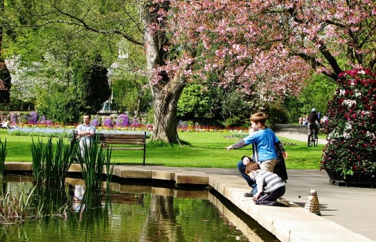 Old Town Gardens Swindon