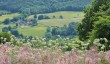 gardens-near-bath.jpg