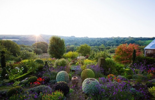 Gardens near Fishguard