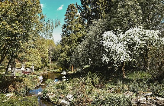 Mount Ephraim Gardens a gardens near me Mount Ephraim Gardens a gardens near me