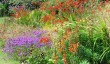 gardens-st-austell.jpg