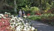 gardens-to-visit-cornwall.jpg