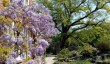 gardens-to-visit-oxfordshire.jpg