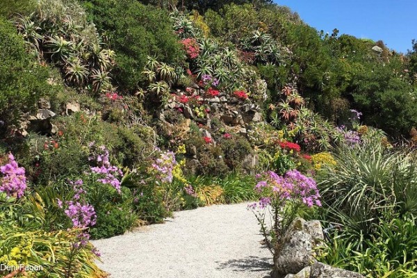 Tresco Abbey Gardens