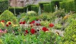 glamis-castle-flowers.jpg