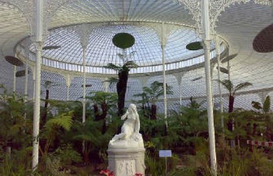 The glasshouse at Glasgow Botanic Garden