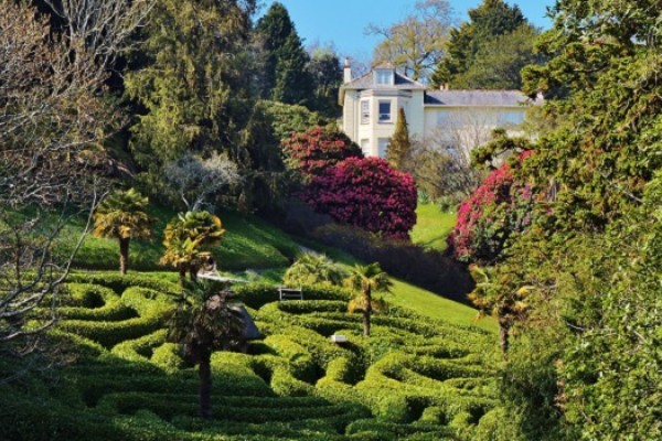 Glendurgan Garden a National Trust Garden in Cornwall