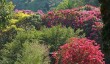 glendurgan-national-trust.jpg