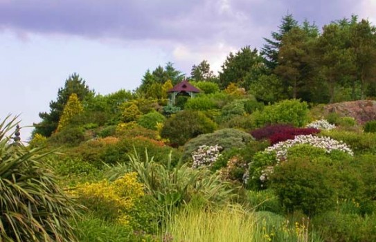 Glenwhan Garden Glenwhan Garden
