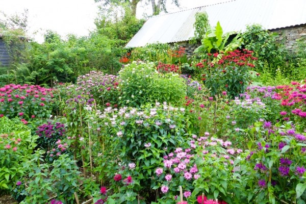 Glyn Bach Gardens, near Efailwen