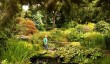 goddards-york.jpg