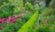 goodnestone-gardens.jpg