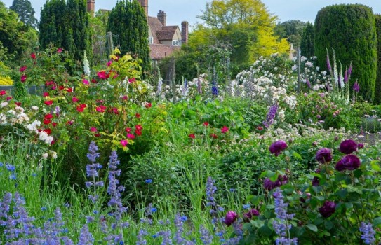 Great British Gardens - Goodnestone Park