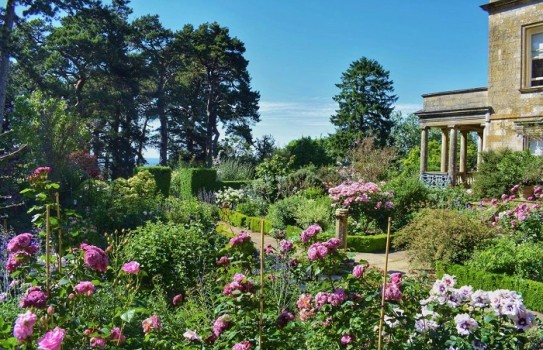 Kiftsgate Court Gardens Mickleton Chipping Campden GL55 6LN Great Kiftsgate Court Gardens Mickleton Chipping Campden GL55 6LN Great