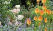 great-british-gardens-september.jpg