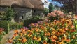 great-british-gardens.jpg