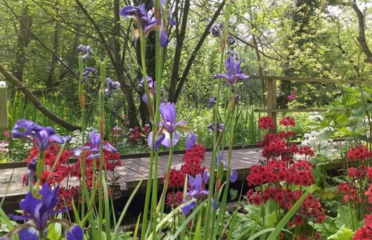 Great British Gardens - Fairhaven Woodland Garden