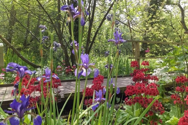 Great British Gardens - Fairhaven Woodland Garden