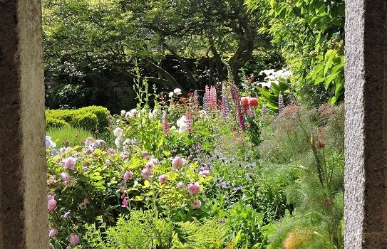 Godolphin House Garden a Great British Garden Godolphin House Garden a Great British Garden