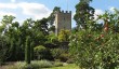 greys_court_garden.jpg