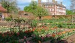 ham-house-walled-garden.jpg