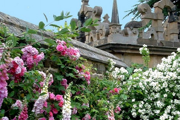 Hardwick Hall Garden