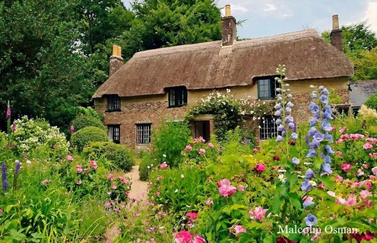 Thomas Hardy's Cottage Garden Thomas Hardy's Cottage Garden