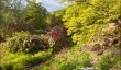 harewood-house-garden.jpg