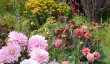 helmingham-hall-summer.jpg