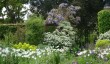 helminngham-hall-gardens-may.jpg