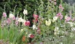 helmsley-garden.jpg