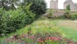 helmsley-walled-garden-yorkshire.jpg