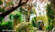 hepworth-scupture-garden.jpg