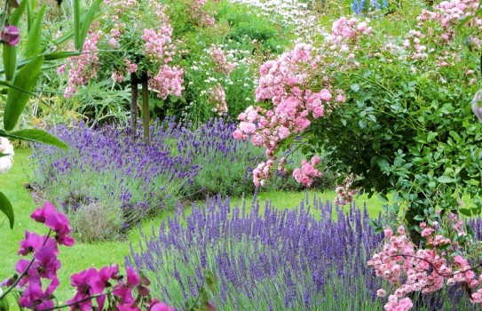 Hergest Croft Gardens in Herefordshire