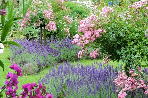 Hergest Croft Gardens in Herefordshire