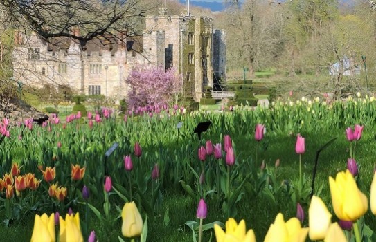 Hever Castle Garden 