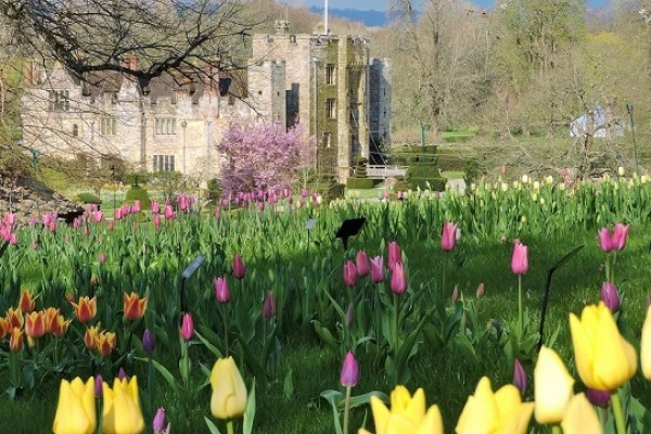 Hever Castle Garden 