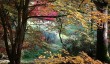 high-beeches-autumn.jpg