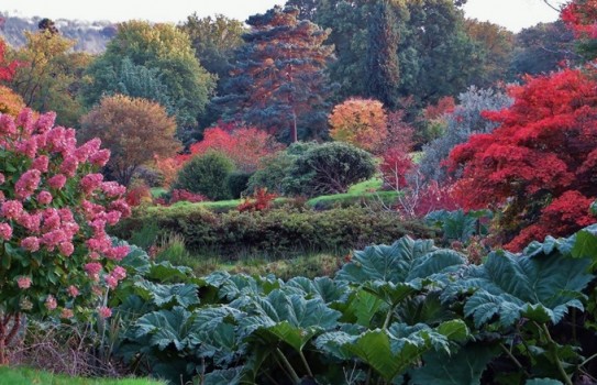 High Beeches Garden Autumn High Beeches Garden Autumn