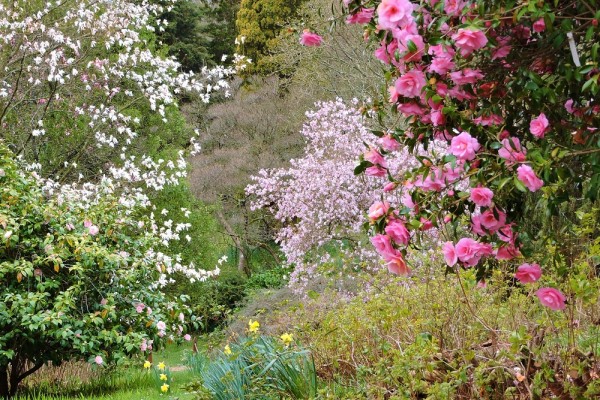 High Beeches Garden