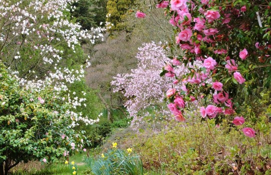 High Beeches Garden High Beeches Garden