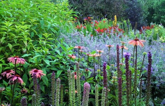 Highdown Garden Highdown Garden