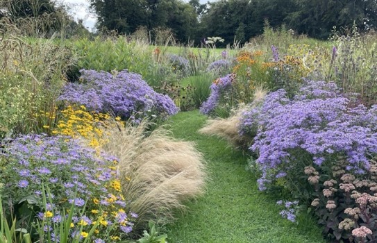 Highfield Farm Gardens