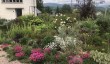 highfield-farm-gardens-monmouthshire.jpg