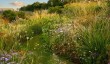 highfield-farm.jpg