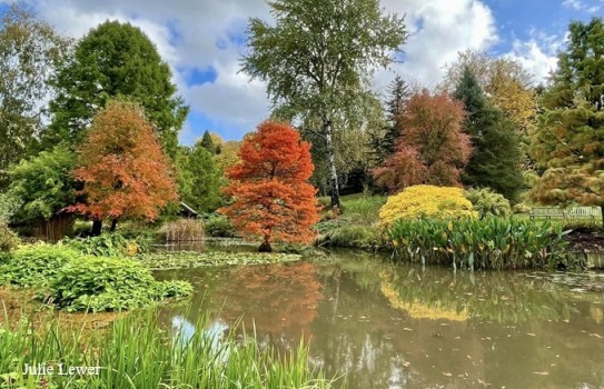 Sir Harold Hillier Gardens Autumn