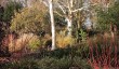 hillier-winter-garden.jpg